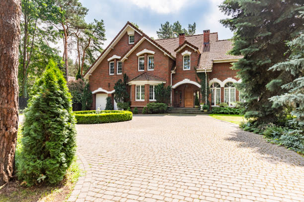 Best Residential Driveway Paver Services  in Cannon Af, NM