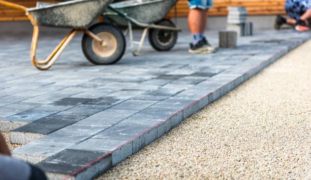 Best Driveway Repair Near Me  in Cannon Af, NM