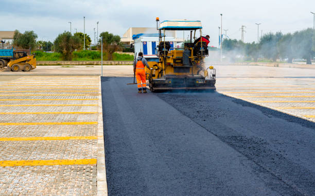 Best Driveway Repair Near Me  in Cannon Af, NM