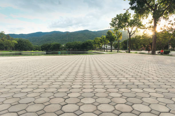 Best Concrete Paver Driveway  in Cannon Af, NM