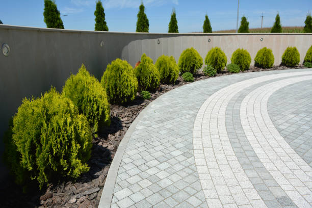 Best Commercial Driveway Pavers  in Cannon Af, NM
