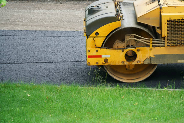 Best Decorative Driveway Pavers  in Cannon Af, NM