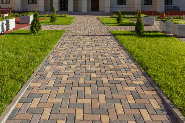 Best Driveway Pavers Near Me  in Cannon Af, NM