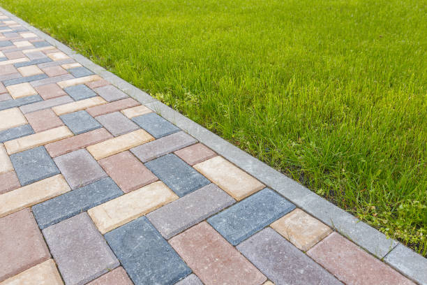 Best Residential Paver Driveway  in Cannon Af, NM